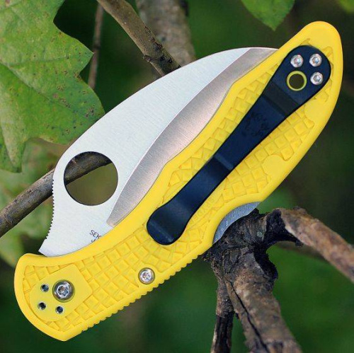 Складной нож Spyderco Tasman Salt 2 - 106SYL2 фото 3